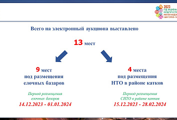 Челнинцы могут торговать на катках и елочных базарах