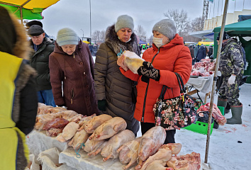 В Набережных Челнах состоялись ярмарки «Новогодний гусь»