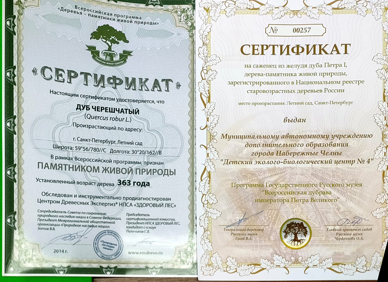 Челнинские школьники высадили желуди императорского дуба