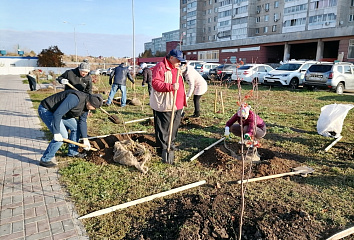 В Набережных Челнах с начала осени высадили порядка 8 тысяч деревьев и кустарников