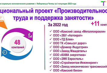 48 челнинских компаний участвуют в национальном проекте «Производительность труда и поддержка занятости»