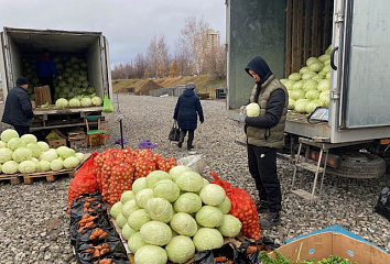 На ярмарках Челнов представлено свыше 870 тонн сельскохозяйственной продукции