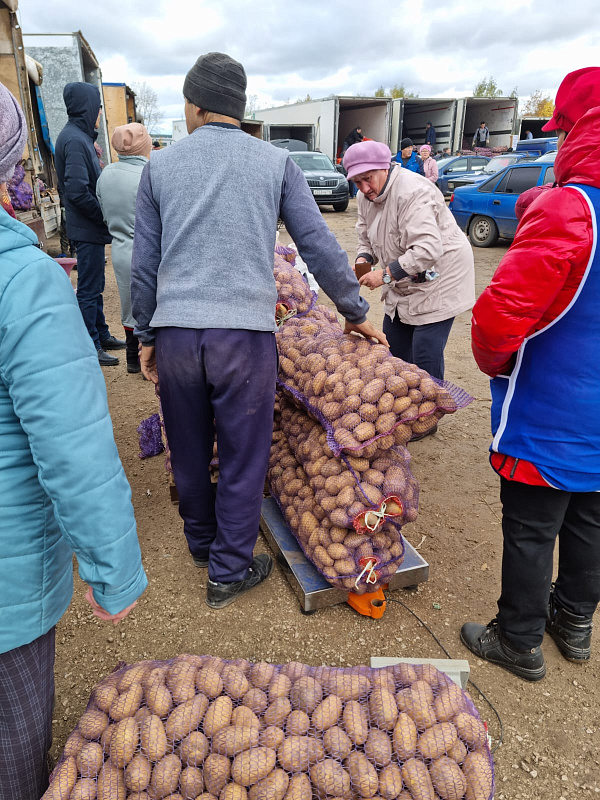 На ярмарки в Челнах завезли 1200 тонн продукции