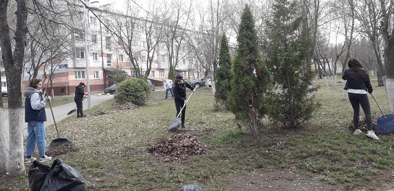 Икеайлык башланганнан бирле Яр Чаллыда 4 меңнән артык агач утыртылды