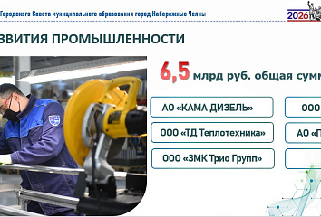 ТОР «Набережные Челны»: налоговые отчисления резидентов в 2,5 раза превысили сумму льгот
