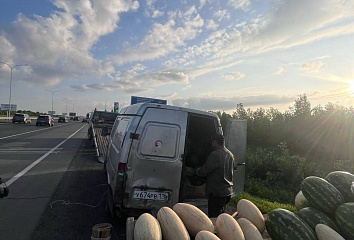 В Набережных Челнах продолжается ликвидация несанкционированной торговли бахчевыми культурами