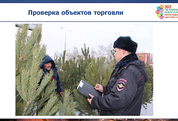 Незаконная рубка лесных насаждений в зоне ответственности жителей